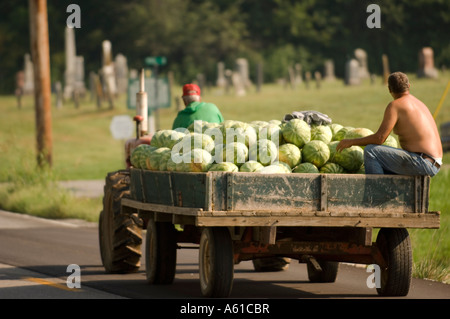 Carro caricato con anguria in Indiana Foto Stock