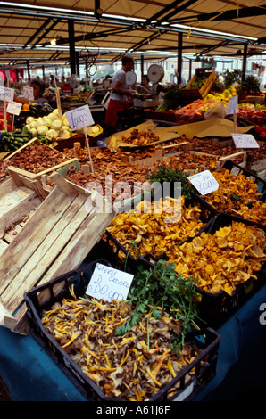 Funghi chiodini sul visualizzatore in corrispondenza di un mercato all'aperto. Venezia, Italia Foto Stock