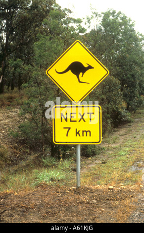 Grande segno di avvertimento di kangeroos crossing in Australia Foto Stock