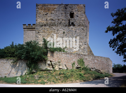 Hambacher Schloß, vor dem Umbau Juni 2006, Blick von Westen Foto Stock