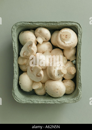 Il pulsante di funghi in scatola biodegradabile Foto Stock