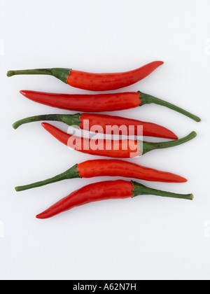 Peperoncini rossi shot con professionisti di medio formato digital Foto Stock