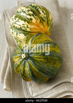 Ancora vita acorn e arlecchino squash Foto Stock