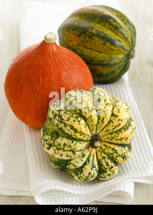 Acorn cipolla e arlecchino squash shot con professionisti di medio formato digital Foto Stock