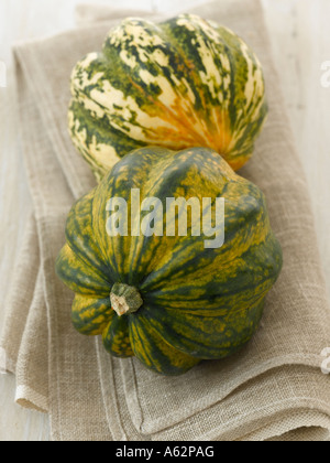 La Harlequin e acorn squash shot con professionisti di medio formato digital Foto Stock