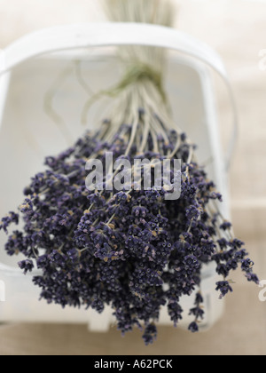 Ancora vita lavanda Foto Stock