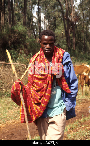 Tribù Masai persone immobilizzare i bovini in abiti colorati vicino Kenya Africa Foto Stock