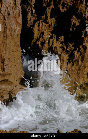 Ocean acqua schiantarsi contro la roccia calcarea litorale di Hutchinson Island Martin County Florida Stuart Foto Stock