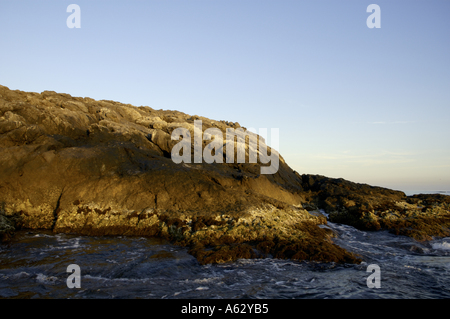 Marsiglia Estate Sunrise su Moyades isolotto vicino Riou Isola Foto Stock