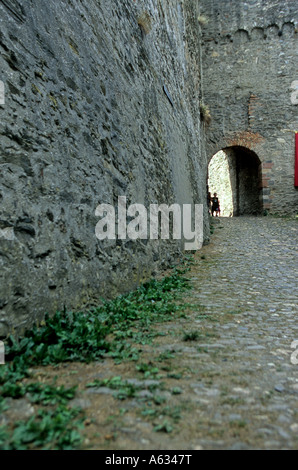 Il XIII secolo le rovine di Schloss Rheinsfeldspfad nell'UNESCO protetti Welterbe centrale superiore della Valle del Reno vicino a Koblenz Germania Foto Stock