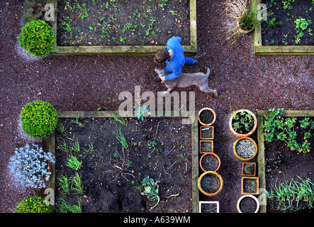 Un giardiniere con il suo cane passeggiate tra letti sollevata con bordi in legno e pentole di box e lavanda in un giardino REGNO UNITO Foto Stock