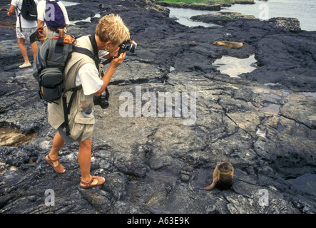 Donna femmina fotografo tenendo fotografia Sea Lion pup James Bay Isola James Provincia Galapagos Isole Galapagos Ecuador Foto Stock