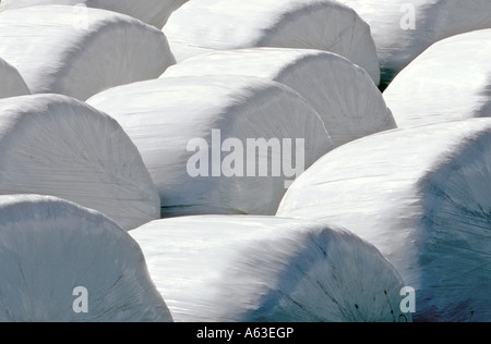Coperti di balle di fieno memorizzato per l'inverno. Foto Stock