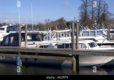 Holiday barche ormeggiate a Newark Marina NottinghamShire Inghilterra Foto Stock