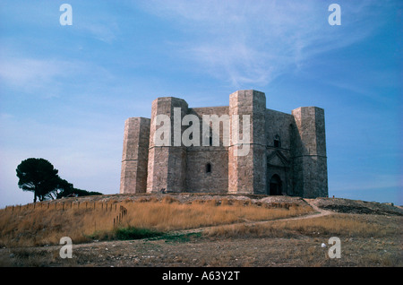 Fortezza di castel del monte REGIONE PUGLIA ITALIA Foto Stock