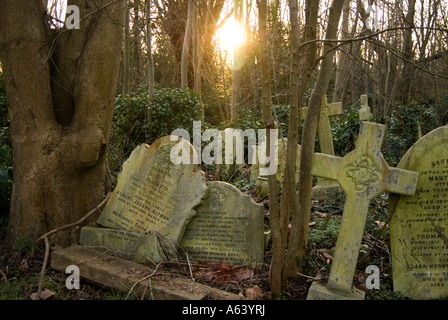Vecchie lapidi ricoperta con piante presso il cimitero di Highgate Londra Inghilterra REGNO UNITO Foto Stock