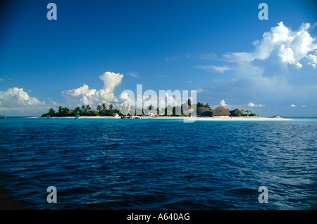 Palme presso la spiaggia Isola di angaga maldives Foto Stock