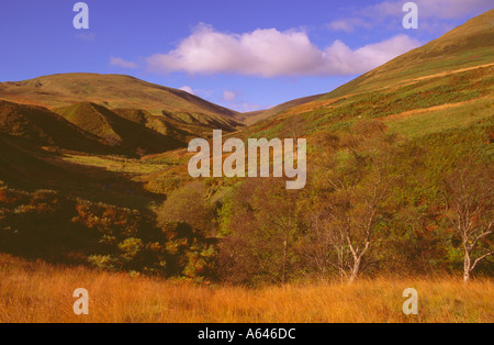 Ochil Hills in autunno sopra' Dollar Scozia' Foto Stock