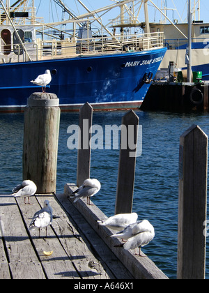 Porto di Fremantle Perth Western Australia Foto Stock