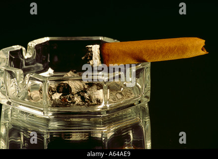 Il sigaro sigaro masterizzazione di cenere di sigari posacenere a snodo Foto Stock