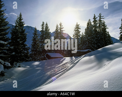 Le vie di sciatori in powdersnow vicino al villaggio di murren regione di Altopiano bernese swiss alpes svizzera Foto Stock