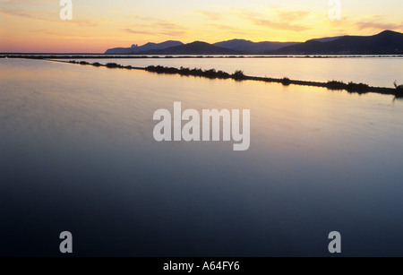 Opere di sale di Ses Salines nella luce della sera, Ibiza Foto Stock