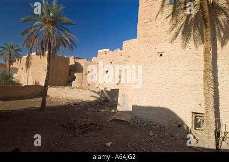 Il giardino delle palme a Ghadames, Ghadamis, Libia, Patrimonio Mondiale dell Unesco Foto Stock