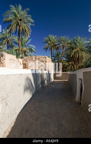 Il giardino delle palme a Ghadames, Ghadamis, Libia Foto Stock