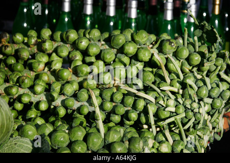 Brussel beccucci ancora sulla loro gambi, forsale su uno stallo nel mercato agricolo nel nord ovest di Londra Foto Stock