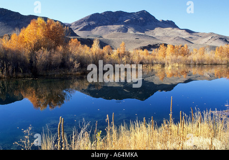 Salmon River vicino Challis, Lewis & Clark Trail, Idaho, Stati Uniti d'America Foto Stock