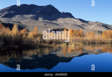 Salmon River vicino Challis, Lewis & Clark Trail, Idaho, Stati Uniti d'America Foto Stock