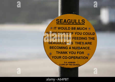 Si prega di non alimentare i gabbiani - segno in St Ives Harbour in Cornovaglia Foto Stock