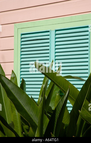 WEST INDIES Caraibi Barbados St James Parrocchia Holetown in legno colorato Chattel Case e piante tropicali. Foto Stock
