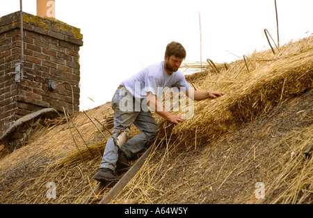 Dorset Regno Unito Bere Regis thatcher Nick Farewell lavorando sul tetto del cottage Foto Stock