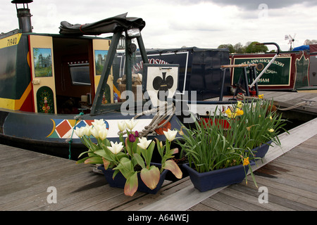 Regno Unito Yorkshire Ripon Bacino del canale primavera fiori piantati in contenitori a ormeggio narrowboat Foto Stock