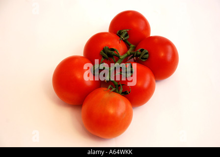 Pomodori grandi sulla vite Foto Stock