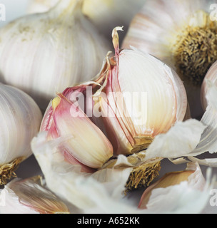 Lampadine dell'aglio Foto Stock