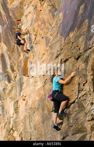 Le Scogliere Kangaroo Point a Brisbane sono una grande attrazione per arrampicatori stessi test sulla rosa della roccia vulcanica Foto Stock