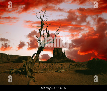 Il Monument Valley Tribal Park, Utah Foto Stock
