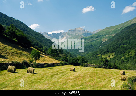 Campo di Fieno sull'approccio di Ordesa Y Monte nazionale Perido Foto Stock