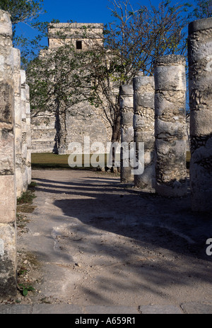 Gruppo di 1.000 colonne presso il Tempio dei Guerrieri guardando verso El Castillo Chichen Itza Yucatan Messico Foto Stock