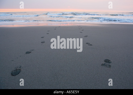 Calzatura stampe su Oceano Pacifico sabbiosa spiaggia al tramonto Foto Stock