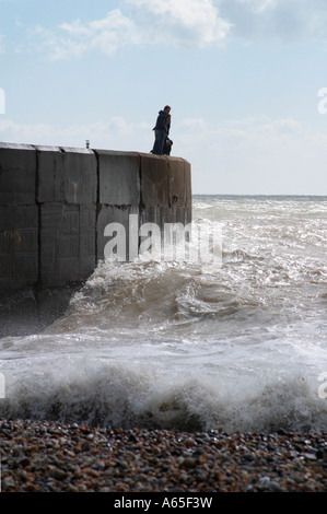 Due uomini e il cane in piedi sul Seawall guardando breakers crash. Shoreham beach, West Sussex. Foto Stock