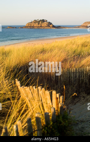 Recinto con erbe del mare al DU GUESCLIN COVE Bretagna Francia Foto Stock