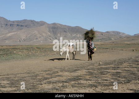 Donna con asino su nordovest di Santo Antao (Capo Verde, 2007). Foto Stock