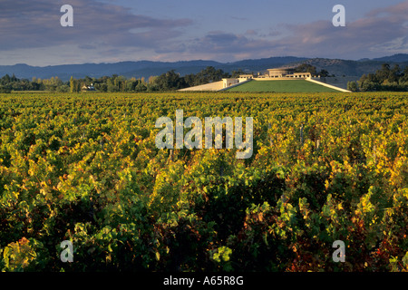 La luce del tramonto su Opus One Winery Oakville Napa County in California Foto Stock