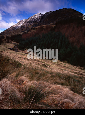 Beinn un Lochain dal di sopra Butterbridge, Arrochar Foto Stock