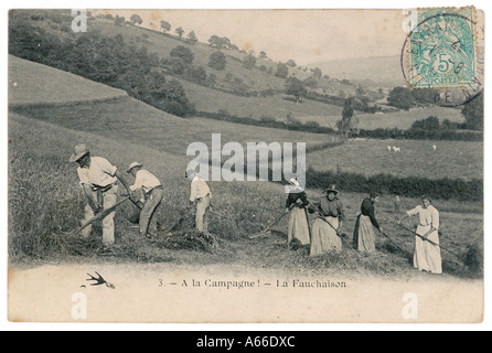 La falciatura di fieno 1907 Foto Stock