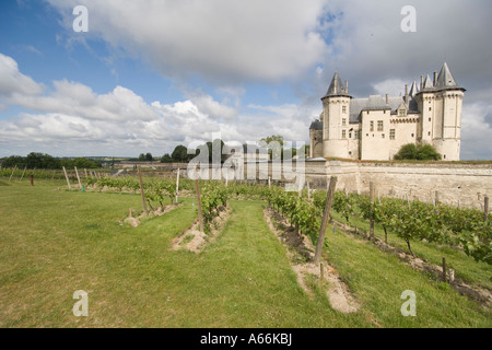 Chateau de Saumur a Saumur, Maine-et-Loire Centre Francia Foto Stock