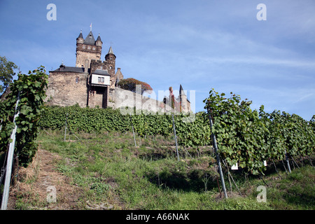 Germania Burg Castello di Reichsburg sul fiume Mosel;nella Valle della Mosella in Renania; vicino a Cochem Germania Foto Stock